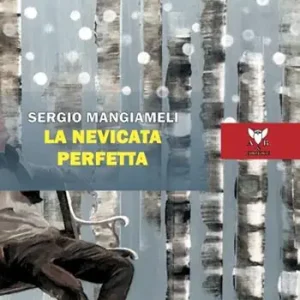 Offerta Limitata La nevicata perfetta