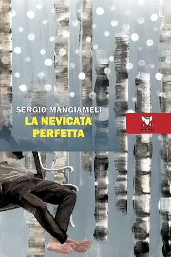 Offerta Limitata La nevicata perfetta