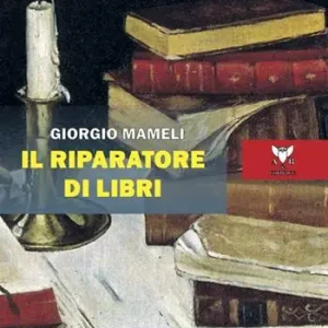 Promo Stagionale Il riparatore di libri