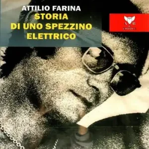 Storia di uno spezzino elettrico Occasione