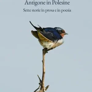 Direttamente Dal Produttore Antigone in Polesine. Sette storie in prosa e in poesia