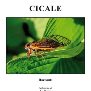 Cicale Promo Stagionale