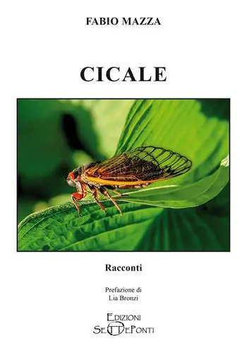 Cicale Promo Stagionale