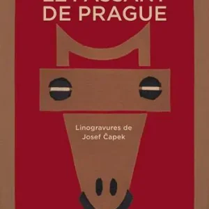 Le passant de Prague et autres contes fantastiques. Ediz. illustrata Compra Online