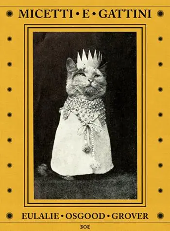Micetti e gattini. Ediz. illustrata Spedizione Espresso
