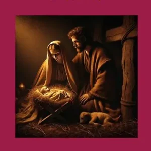 Acquista Ora Bibbia. Le 100 domande. Vol. 2 Nuovo Testamento