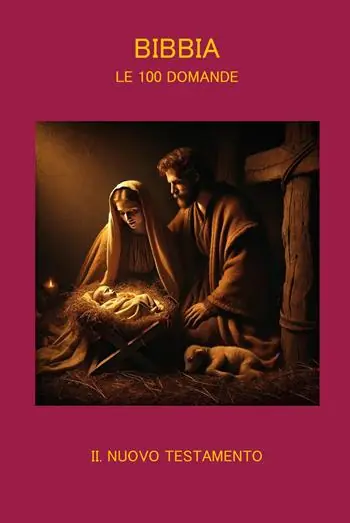 Acquista Ora Bibbia. Le 100 domande. Vol. 2 Nuovo Testamento