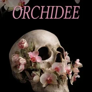 Orchidee Solo Oggi