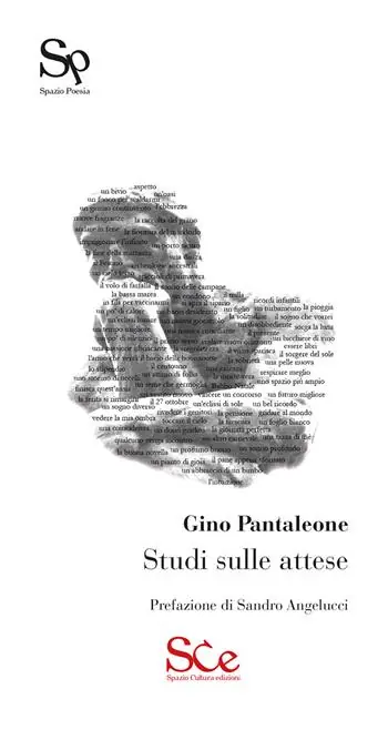 Spedizione Espresso Studi sulle attese
