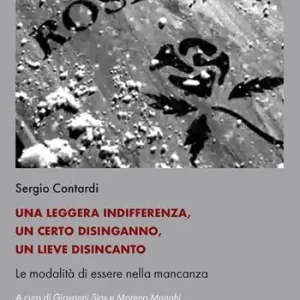 Spedizione Espresso Una leggera indifferenza, un certo disinganno, un lieve disincanto. Le modalità di essere nella mancanza