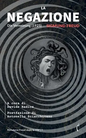 Ultima Occasione La negazione-Die Verneinung. Ediz. bilingue
