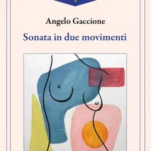 Offerta Del Giorno Sonata in due movimenti