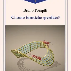 Promozione Esclusiva Ci sono formiche sperdute?
