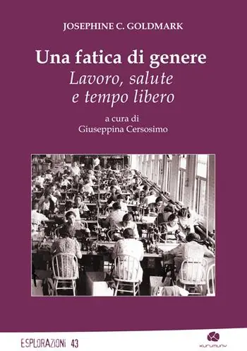 Offerta Limitata Una fatica di genere. Lavoro, salute e tempo libero