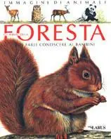 Gli animali della foresta Nuova Collezione