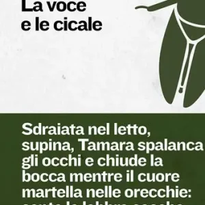 La voce e le cicale Offerta Lampo