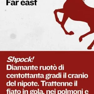 Far east Super Prezzo