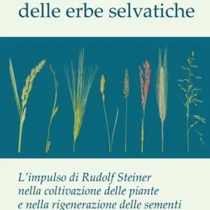 L‘umanizzazione delle erbe selvatiche Offerta Limitata