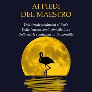 Ai piedi del maestro Offerta Limitata