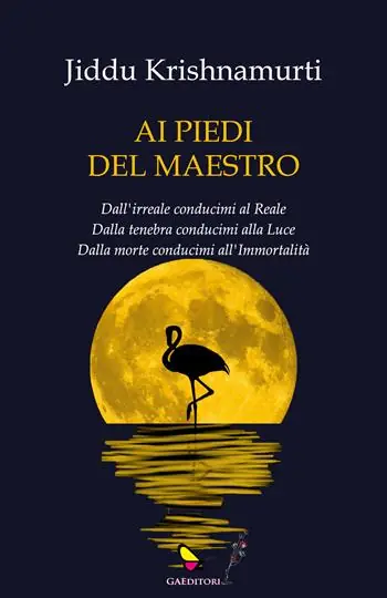 Ai piedi del maestro Offerta Limitata