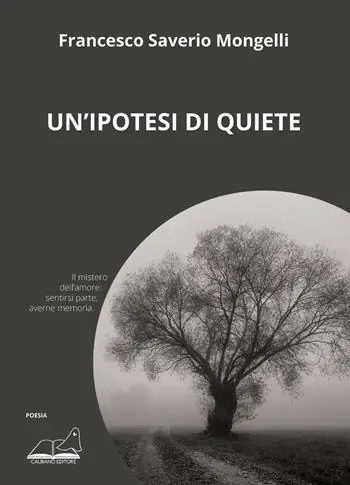 Professionale Un‘ipotesi di quiete