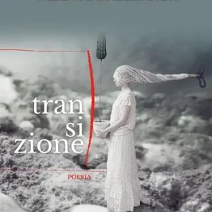 Transizione Affare
