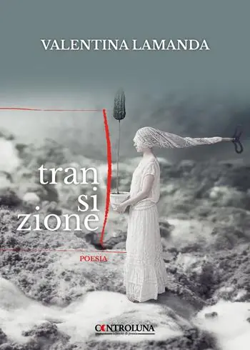Transizione Affare