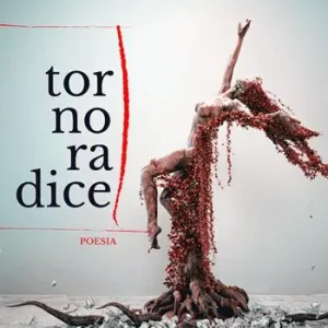 A Buon Prezzo Torno radice
