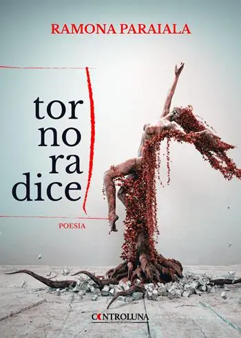 A Buon Prezzo Torno radice