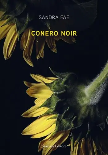 Sconto Conero noir