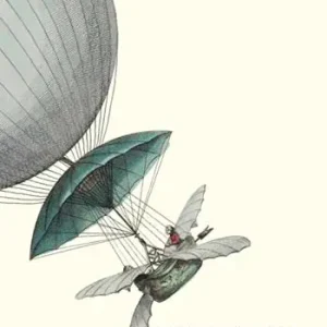 Bestseller L‘età della meraviglia