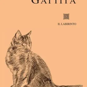 Gattità Ordina Subito
