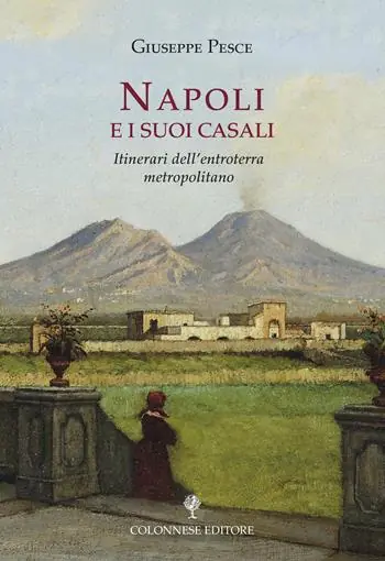 Prezzo Scontato Napoli e i suoi casali. Itinerari dell‘entroterra metropolitano