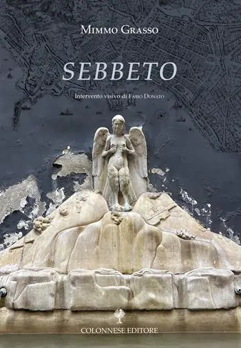 Subito Disponibile Sebbeto