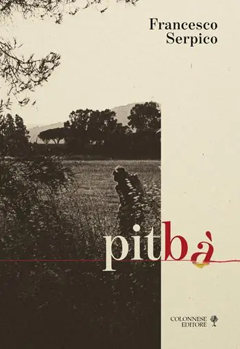 Pitbà. Di sentieri, di segni e altre didascalie. Ediz. speciale Novità