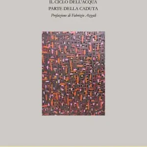Il ciclo dell‘acqua. Parte della caduta Solo Oggi