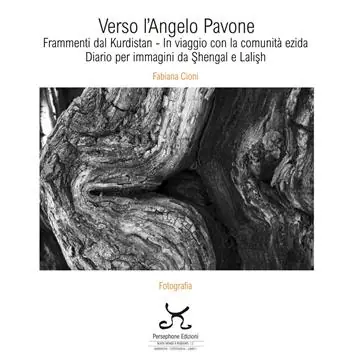 Pagamento Sicuro Verso l‘Angelo Pavone. Frammenti dal Kurdistan - In viaggio con la comunità ezida. Diario per immagini da Shengal e Lalish