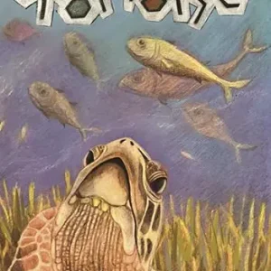 Prezzo Scontato Tortoise