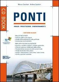 Ponti. Analisi, progettazione, dimensionamento. Con CD-ROM Solo Oggi