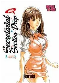 Secretarial section drop. Vol. 4 Prezzo Ridotto