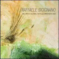 A Buon Prezzo Raffaele Sicignano. Aria, impeto e silenzio. È notte, illuminatamente buia. Ediz. illustrata
