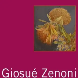 Ultima Occasione Giosuè Zenoni. Ediz. illustrata