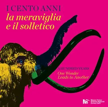Spedito Oggi I cento anni la meraviglia e il solletico-A hundred years one wonder leads to another