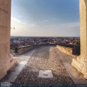 Tra due primavere Consegna Rapida