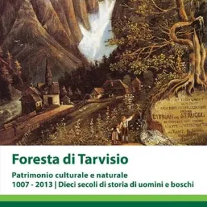 Subito Disponibile Foresta di Tarvisio. Patrimonio cuturale e naturale 1007-2013. Dieci secoli di storia di uomini e boschi