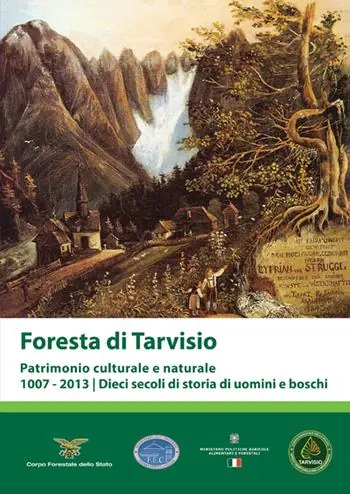 Subito Disponibile Foresta di Tarvisio. Patrimonio cuturale e naturale 1007-2013. Dieci secoli di storia di uomini e boschi