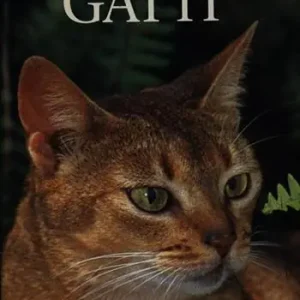 Miglior Prezzo I gatti. Ediz. illustrata