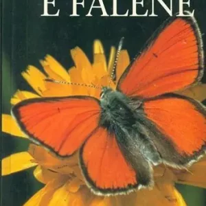 Miglior Prezzo Farfalle e falene. Ediz. illustrata