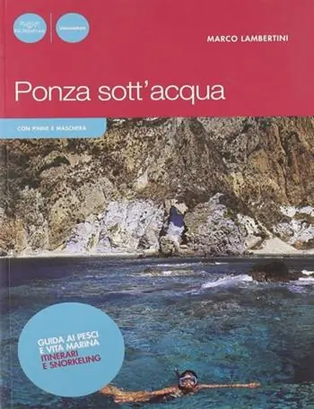 Direttamente Dal Produttore Ponza sott‘acqua. Guida ai pesci e altra vita marina. Itinerari snorkeling. Ediz. illustrata