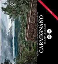 Offerta Lampo Carmignano. Le radici e le ali. Ediz. italiano e inglese